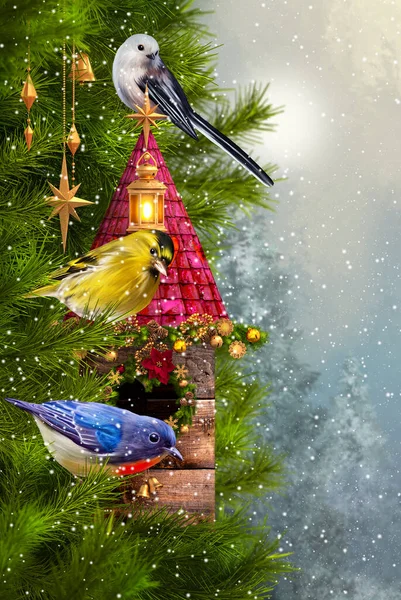 Рождество Новогодний Зимний Праздничный Фон Синицы Сидящие Ветке Костра Сосны — стоковое фото