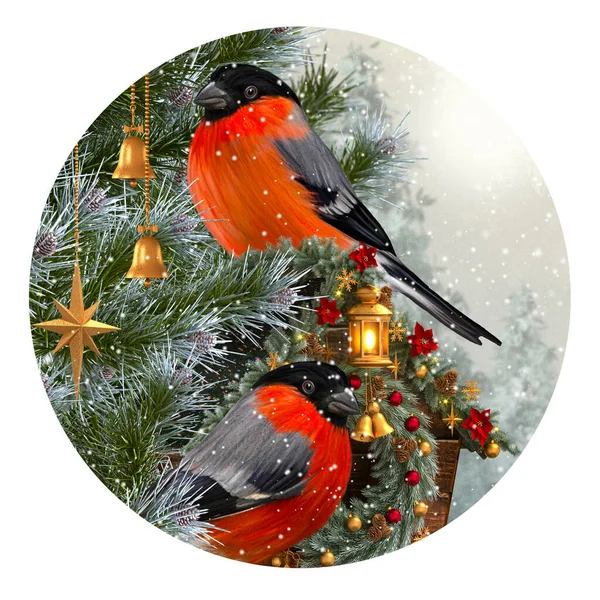 Natal Fundo Festivo Inverno Ano Novo Dois Pássaros Bullfinch Sentado — Fotografia de Stock