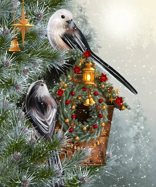 Christmas New Year Winter Festive Background Two Birds Tit Sitting — Foto de Stock