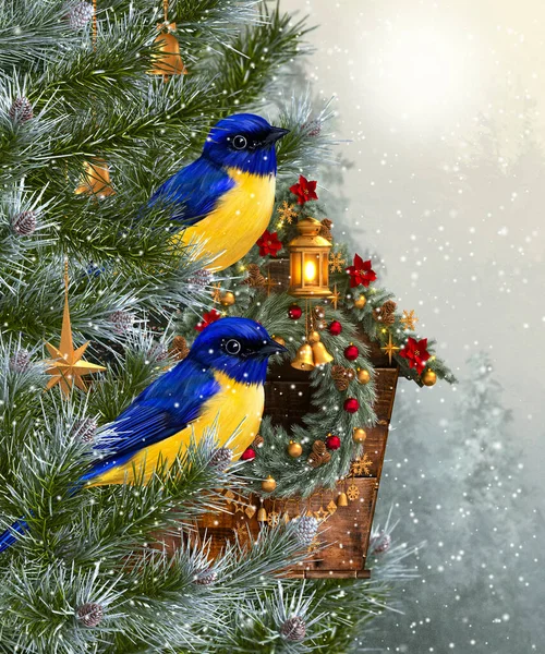 Christmas New Year Winter Festive Background Two Birds Tit Sitting — Fotografia de Stock