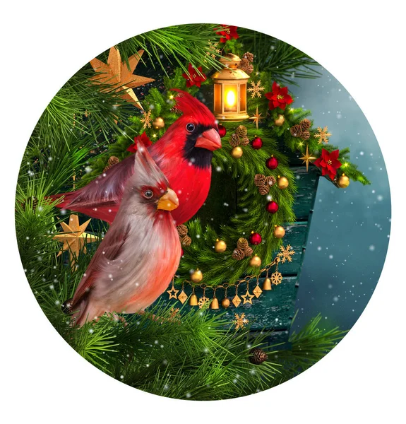Navidad Año Nuevo Fondo Festivo Invierno Dos Cardenal Pájaro Rojo — Foto de Stock