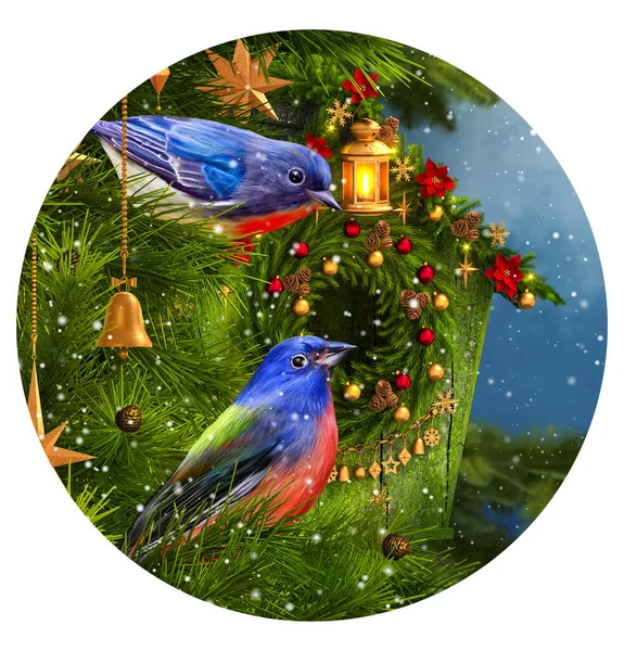 Christmas New Year Winter Festive Background Two Birds Tit Sitting — Fotografia de Stock