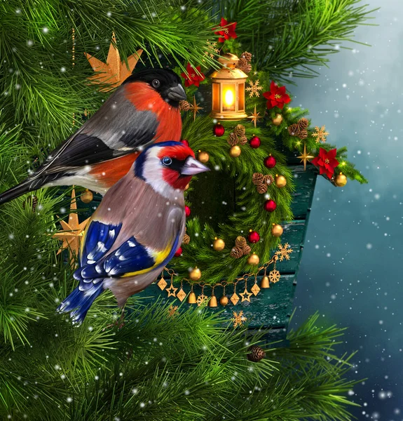 Natal Fundo Festivo Inverno Ano Novo Dois Pássaros Bullfinch Sentado — Fotografia de Stock