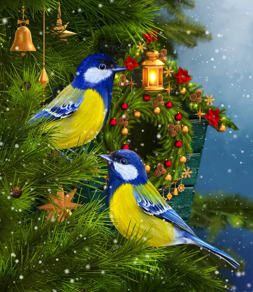 Christmas New Year Winter Festive Background Two Birds Tit Sitting — 스톡 사진