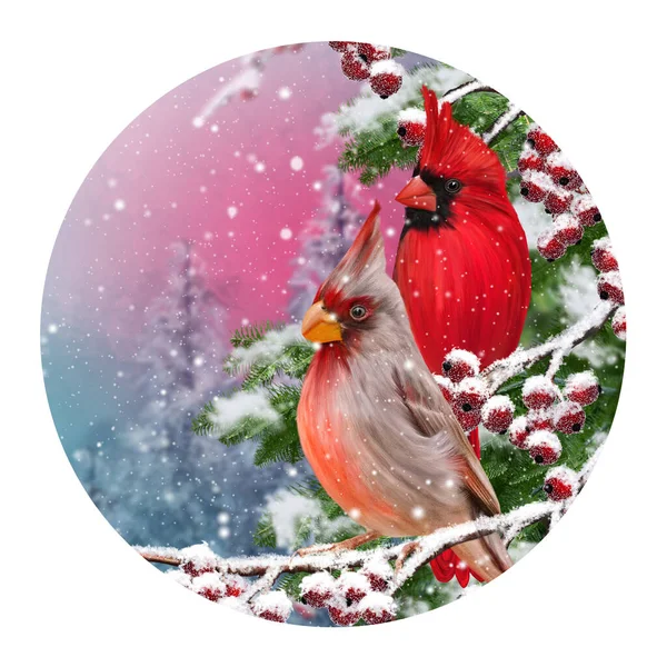 Weihnachten Neujahr Winterfestlicher Hintergrund Zwei Vogelkardinäle Sitzen Auf Einem Schneebedeckten — Stockfoto