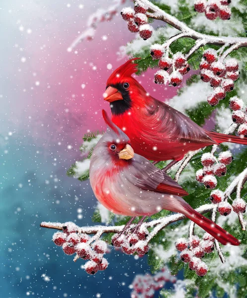 Winterlicher Weihnachtshintergrund Zwei Vogelkardinäle Sitzen Auf Einem Schneebedeckten Zweig Schneefall — Stockfoto