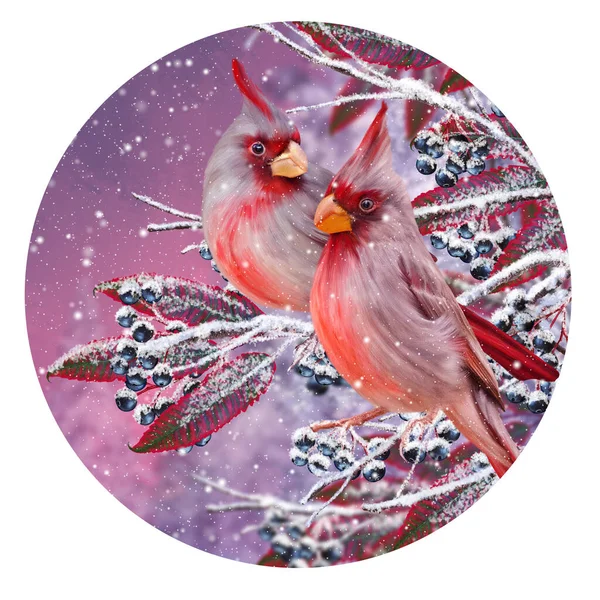 Vánoce Nový Rok Zimní Slavnostní Zázemí Dvě Ptáci Kardinál Sedět — Stock fotografie
