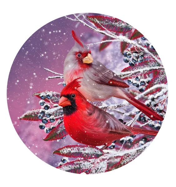 Christmas New Year Winter Festive Background Two Bird Cardinal Sit — Stock Photo, Image