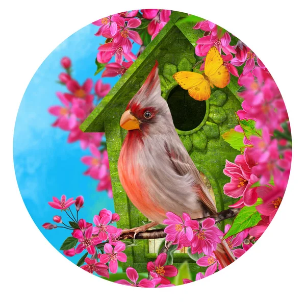 Yaz Bahar Rengarenk Arka Plan Bir Kuş Çiçek Açan Bir — Stok fotoğraf