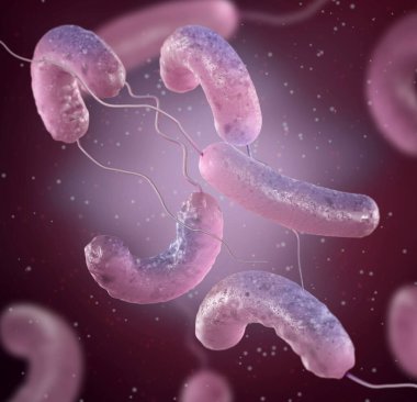Tıbbi arka plan, tek taraflı bakteri şekilli tek bir flagellum, isteğe bağlı anaerobik mobil, Vibrio cholerae, Vibrionaceae, 3D rendering