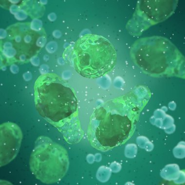Tıbbi arka plan, Gram-pozitif spor oluşturma zorunluluğu Clostridium cinsinin anaerobik bakterisi, 3D görüntüleme