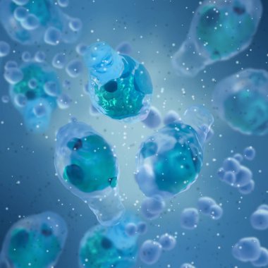 Tıbbi arka plan, Gram-pozitif spor oluşturma zorunluluğu Clostridium cinsinin anaerobik bakterisi, 3D görüntüleme