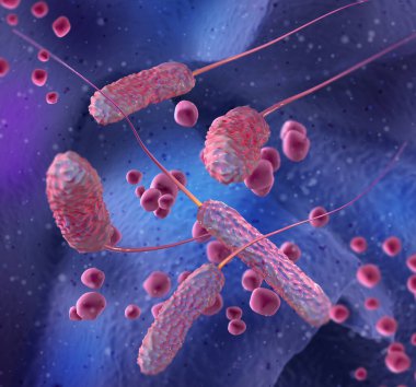 Tıbbi arka plan, tek taraflı bakteri şekilli bakteriler, tek bir flagellum, vibriyo, vibriyon, vibrionaceae, 3D
