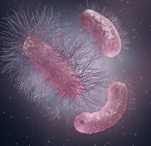 Medical Background Bacteria Peritrichus Flagella Entire Surface Hafniaceae Enterobacterales Rod — Stock Photo, Image