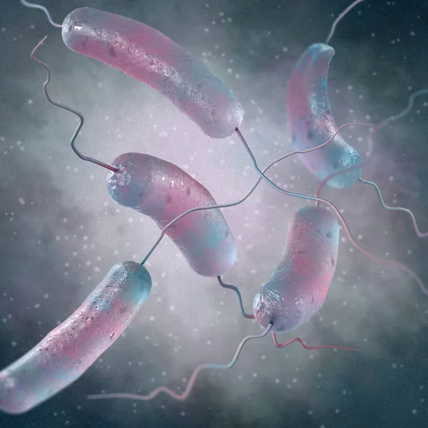 医学的背景 2つの鞭毛または両端の鞭毛の束を持つ両生類の細菌 ビブリオ 3Dレンダリング — ストック写真