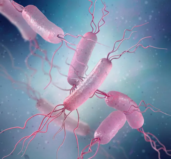 医学的背景 2つの鞭毛または両端の鞭毛の束を持つ両生類の細菌 ビブリオ 3Dレンダリング — ストック写真