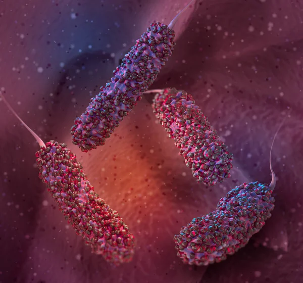 의학적 모양의 박테리아는 종단적으로 종단적으로 하나의 편모를 가지고 Vibrio Vibrionaceae — 스톡 사진