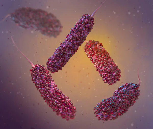 医学背景 单倍体细菌杆状细菌 具单一鞭毛 终末或侧向 弧菌科 弧菌科 3D呈现 — 图库照片