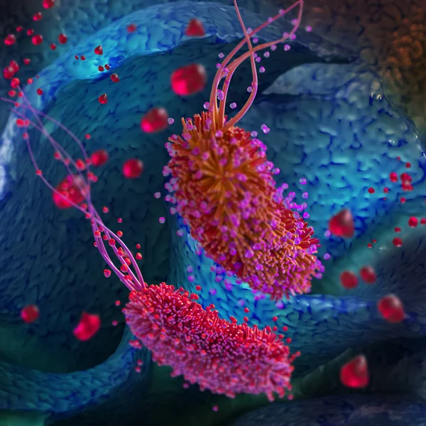 医学背景 单极排列鞭毛虫群的幽门螺杆菌 假单胞菌属代表 最常见的病原体 3D呈现 — 图库照片