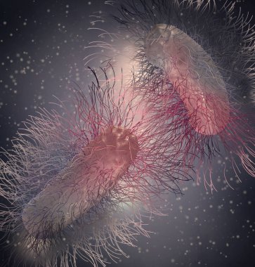 Tıbbi geçmiş, bakteri fakültatif anaerobiler, Salmonella, enterobakteriler, çubuk şekilli, tüm yüzeyde kırbaç, salmonella enfeksiyonunun nedensel faktörü, patojen, 3 boyutlu görüntüleme.