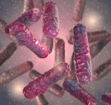 Tıbbi arka plan, Shigella gram-negatif hareketsiz çubuk şekilli bakteri, Shigellosis grubundan patojenler, dizanteri, tehlikeli patojen, 3D görüntüleme