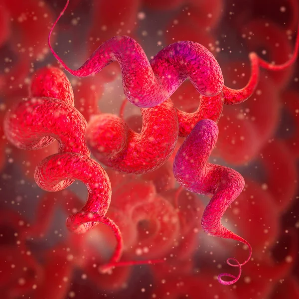 医学的背景 カンピロバクタースパイラルグラム陰性微好気性移動細菌 病原体 小腸カンピロバクテリア症の感染症の原因物質 3Dレンダリング — ストック写真