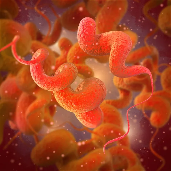 Medical background, Campylobacter spiral gram-negative microaerophilic mobile bacterium, pathogen, causative agent of infectious diseases of the small intestine campylobacteriosis, 3D rendering