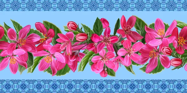 Horizontale floral rand rode bloemen van paradijs appel, groene le — Stockfoto