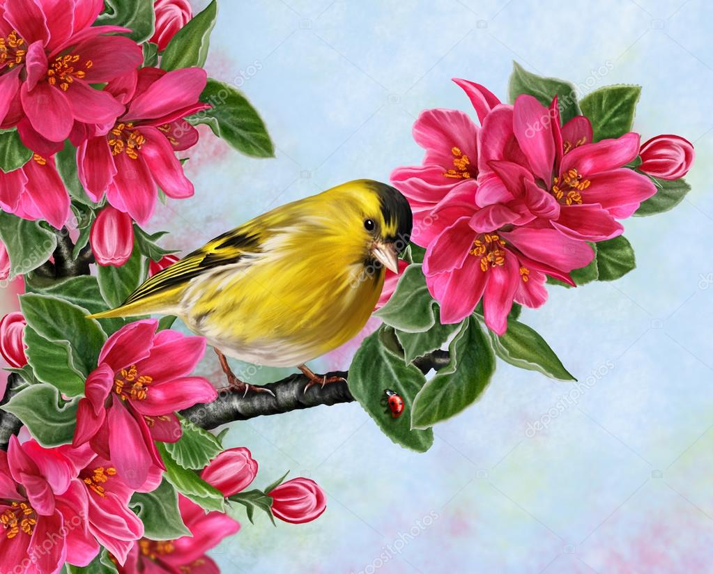 Petit Oiseau Jaune Sur Une Branche Dune Pomme De Paradis