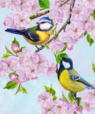 İki küçük kuş baştankara dal kiraz sakura çiçekleri. Bahar çiçek arka plan.