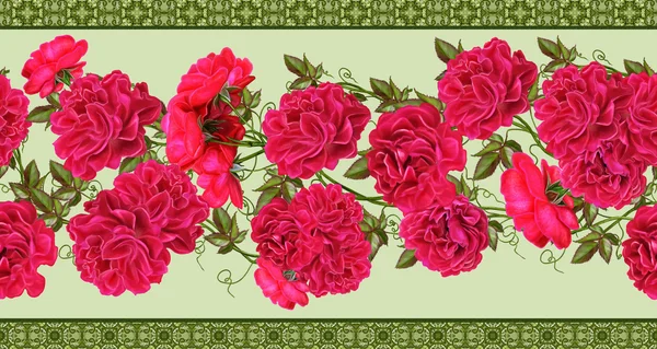 Borde floral horizontal flores rojas rosas trepadoras, hojas verdes, patrón, sin costuras — Foto de Stock