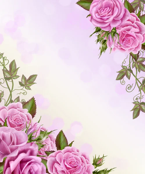 Floral φόντο. Λεπτή ροζ τριαντάφυλλο. — Φωτογραφία Αρχείου
