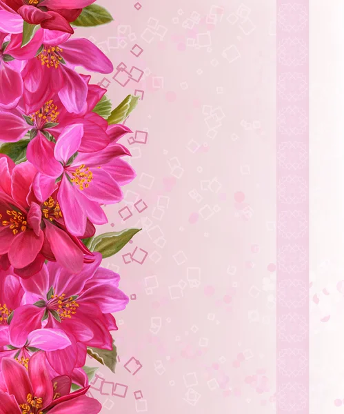 Fronteira floral horizontal paraíso rosa, folhas verdes, padrão, sem costura, fundo floral — Fotografia de Stock