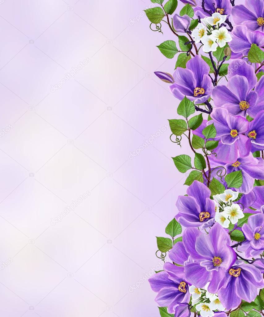 Floral background. Delicate purple spring flowers, swirls of green leaves, white blossoms.
