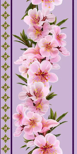 Bordure florale verticale, motif, sans couture. Fleurs roses amande — Photo