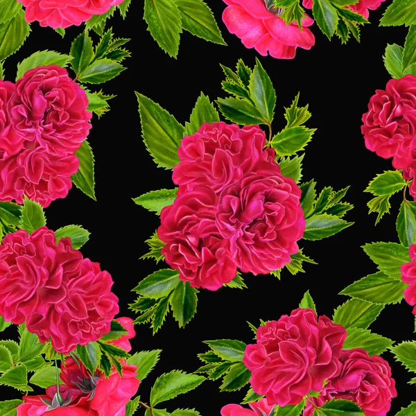 검은색에 빨간 장미 꽃 패턴 — 스톡 사진