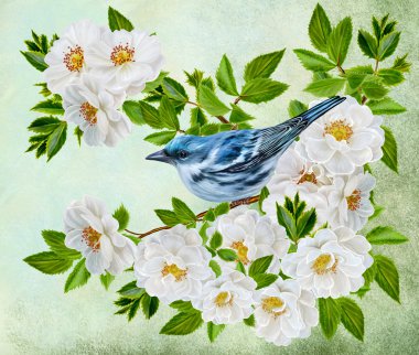 Çiçekler beyaz gül dalına oturan küçük mavi kuş