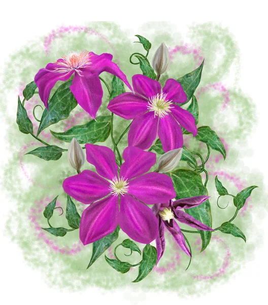 Μπουκέτο λουλούδια σε ένα φόντο από λεκέδες υδροχρώματος clematis — Φωτογραφία Αρχείου