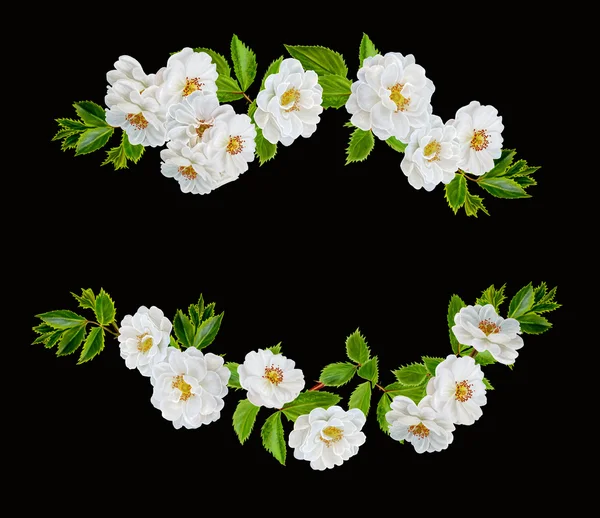 Aranžování květin bílých růží, dva girlandami z květů — Stock fotografie