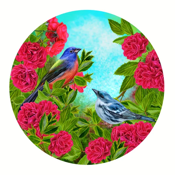 Zwei kleine Vögel auf einem leuchtend blauen Hintergrund aus Rosen — Stockfoto