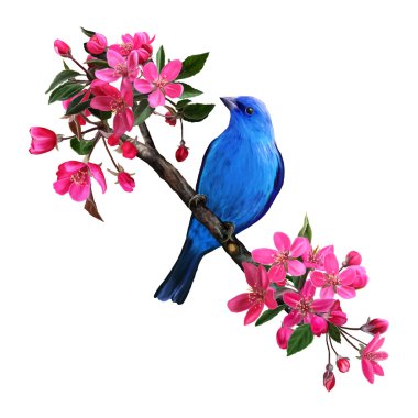 Cennet elması, vektör çizim bir dalı üzerinde mavi kuş