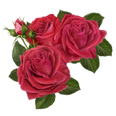 buket kırmızı gül, vektör çizim