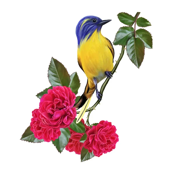 Pájaro amarillo en una rama de una rosa roja, ilustración vectorial — Vector de stock