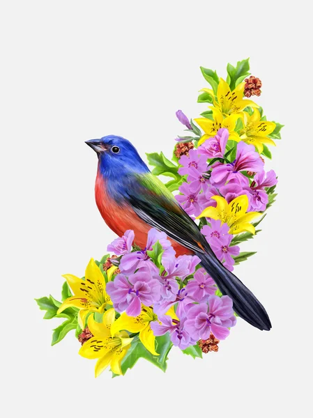 Blauwe vogels op de achtergrond van een gele lelie en roze bloemen, vectorillustratie — Stockvector