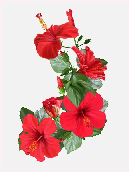 Composición con hibisco rojo brillante, ilustración vectorial — Vector de stock