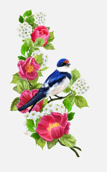 Swallow bird on a background composition of red and white flower — Stock Vector