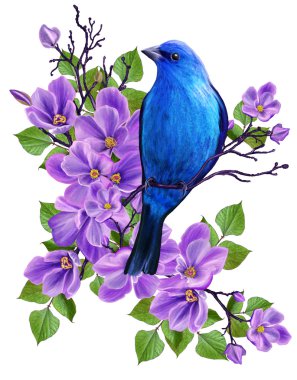 Pembe çiçek çiçekli dallar bir arka plan üzerinde mavi kuş