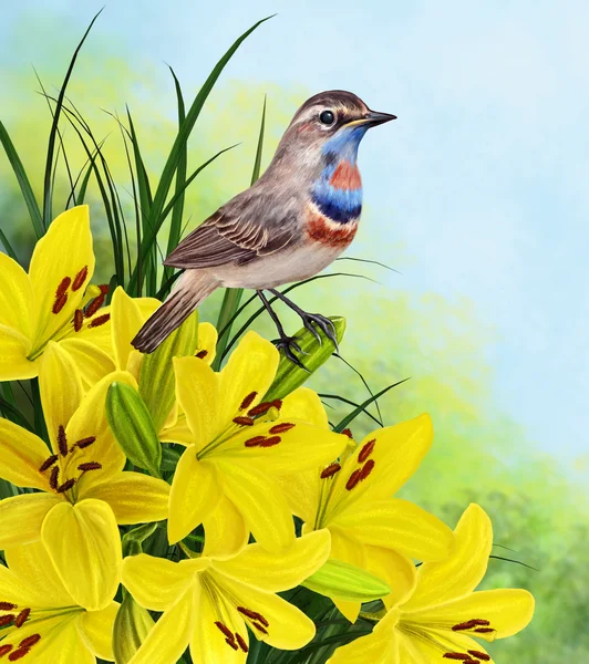 Ptáček na zářivě žluté květy lilie — Stock fotografie