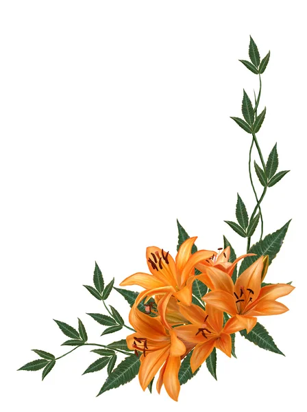 Die kantige Anordnung orangefarbener Blütenlilien — Stockfoto