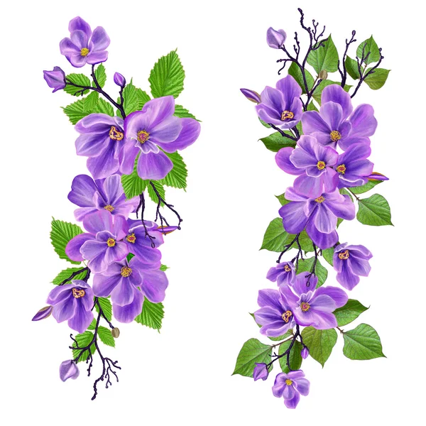 Establecer la composición de las flores púrpuras y hojas verdes —  Fotos de Stock
